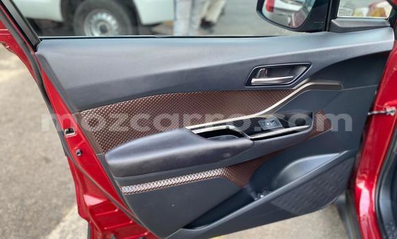 Tenga Tsaru Toyota C-HR Tsvuku Mota in Achachinja in Tete Tenga Tsaru Toyota C-HR Tsvuku Mota in Achachinja in Tete