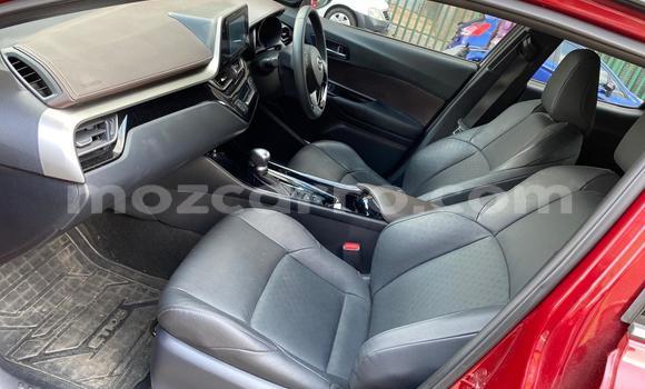 Tenga Tsaru Toyota C-HR Tsvuku Mota in Achachinja in Tete Tenga Tsaru Toyota C-HR Tsvuku Mota in Achachinja in Tete