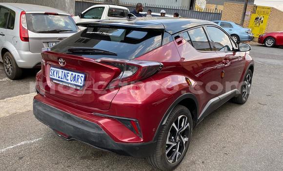 Tenga Tsaru Toyota C-HR Tsvuku Mota in Achachinja in Tete Tenga Tsaru Toyota C-HR Tsvuku Mota in Achachinja in Tete