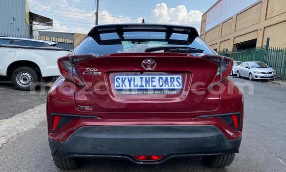 Tenga Tsaru Toyota C-HR Tsvuku Mota in Achachinja in Tete Tenga Tsaru Toyota C-HR Tsvuku Mota in Achachinja in Tete