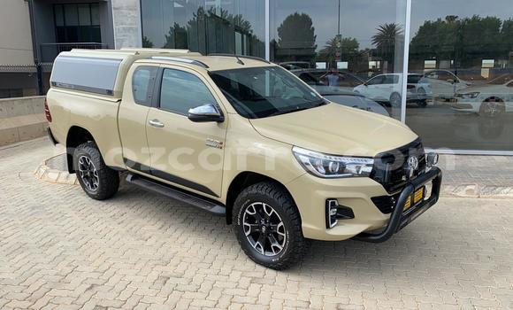 Tenga Tsaru Toyota Hilux Sirivha Mota in Achachinja in Tete Tenga Tsaru Toyota Hilux Sirivha Mota in Achachinja in Tete