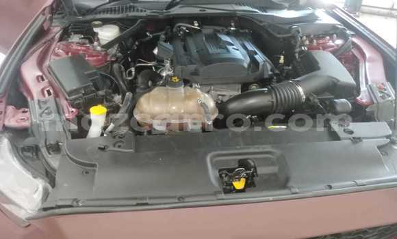 Tenga Tsaru Ford Mustang Tsvuku Mota in Achachinja in Tete Tenga Tsaru Ford Mustang Tsvuku Mota in Achachinja in Tete