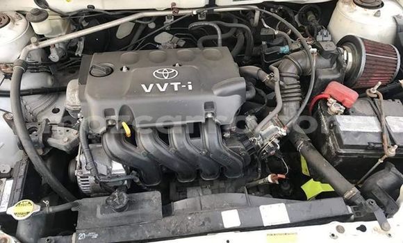 Comprar Usado Toyota Allex Branco Carro em Maputo em Maputo Comprar Usado Toyota Allex Branco Carro em Maputo em Maputo
