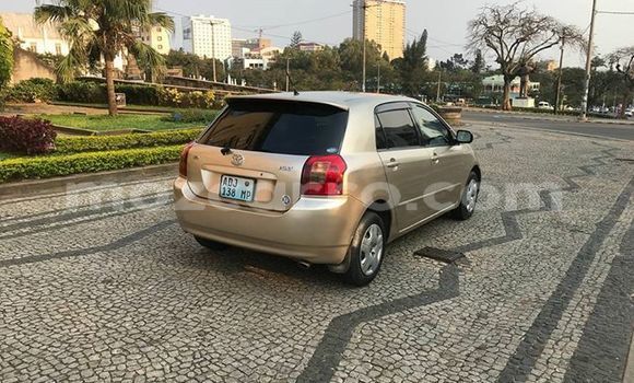Comprar Usado Toyota Runx Bege Carro em Maputo em Maputo Comprar Usado Toyota Runx Bege Carro em Maputo em Maputo