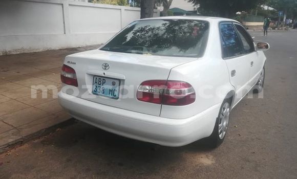 Buy Used Toyota Corolla White Car in Maputo in Maputo Buy Used Toyota Corolla White Car in Maputo in Maputo