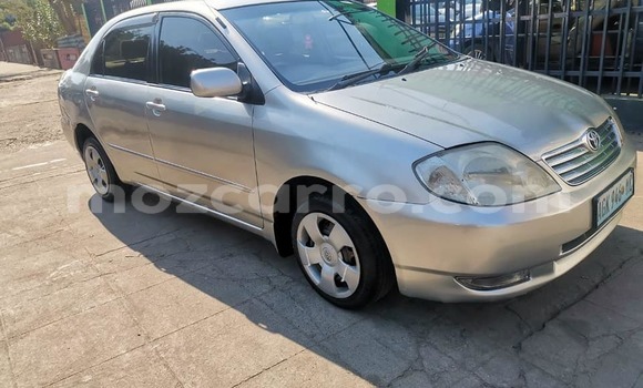 Buy Used Toyota Corolla Silver Car in Maputo in Maputo Buy Used Toyota Corolla Silver Car in Maputo in Maputo