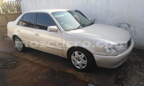 Tenga Tsaru Toyota Corolla Sirivha Mota in Maputo in Maputo Tenga Tsaru Toyota Corolla Sirivha Mota in Maputo in Maputo