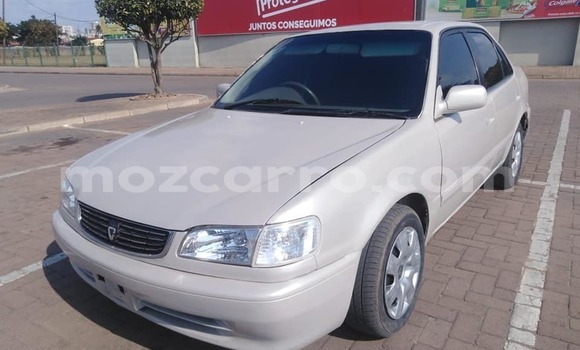 Comprar Usado Toyota Corolla Prata Carro em Maputo em Maputo Comprar Usado Toyota Corolla Prata Carro em Maputo em Maputo