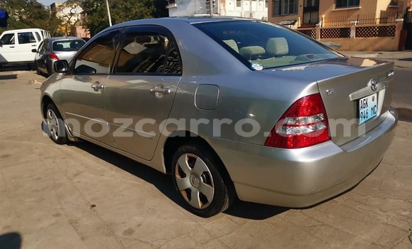 Buy Used Toyota Corolla Silver Car in Maputo in Maputo Buy Used Toyota Corolla Silver Car in Maputo in Maputo