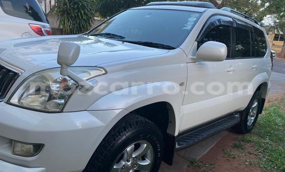 Buy Used Toyota Prado White Car in Maputo in Maputo