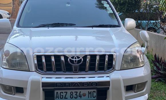 Nunua Ilio tumika Toyota Prado Nyeupe Gari ndani ya Maputo nchini Maputo Nunua Ilio tumika Toyota Prado Nyeupe Gari ndani ya Maputo nchini Maputo