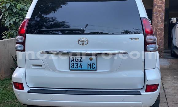Nunua Ilio tumika Toyota Prado Nyeupe Gari ndani ya Maputo nchini Maputo Nunua Ilio tumika Toyota Prado Nyeupe Gari ndani ya Maputo nchini Maputo