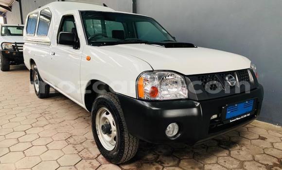 Tenga Tsaru Nissan NP 300 Chena Mota in Beira in Sofala
