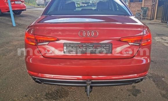 Tenga Tsaru Audi A4 Tsvuku Mota in Achachinja in Tete Tenga Tsaru Audi A4 Tsvuku Mota in Achachinja in Tete