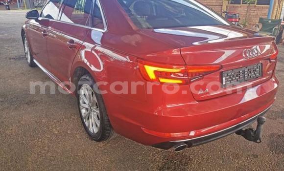 Tenga Tsaru Audi A4 Tsvuku Mota in Achachinja in Tete Tenga Tsaru Audi A4 Tsvuku Mota in Achachinja in Tete