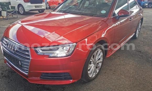 Tenga Tsaru Audi A4 Tsvuku Mota in Achachinja in Tete Tenga Tsaru Audi A4 Tsvuku Mota in Achachinja in Tete