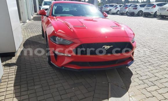 Comprar Usado Ford Mustang Vermelho Carro em Zumbo em Tete