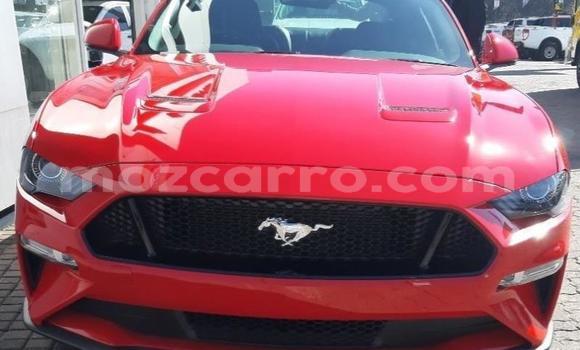 Tenga Tsaru Ford Mustang Tsvuku Mota in Zumbo in Tete Tenga Tsaru Ford Mustang Tsvuku Mota in Zumbo in Tete