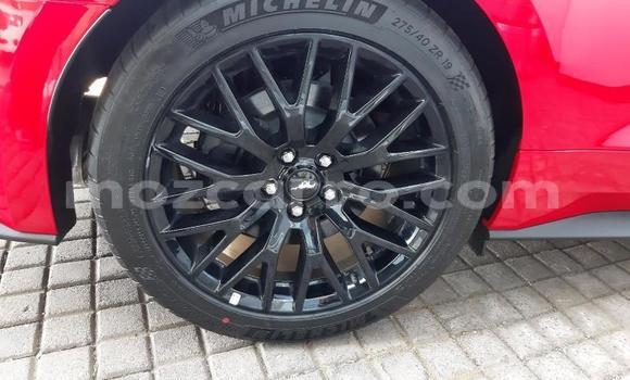 Tenga Tsaru Ford Mustang Tsvuku Mota in Zumbo in Tete Tenga Tsaru Ford Mustang Tsvuku Mota in Zumbo in Tete