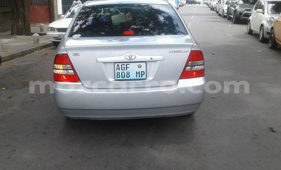 Tenga Tsaru Toyota Corolla Sirivha Mota in Maputo in Maputo Tenga Tsaru Toyota Corolla Sirivha Mota in Maputo in Maputo