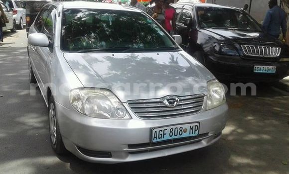 Tenga Tsaru Toyota Corolla Sirivha Mota in Maputo in Maputo Tenga Tsaru Toyota Corolla Sirivha Mota in Maputo in Maputo