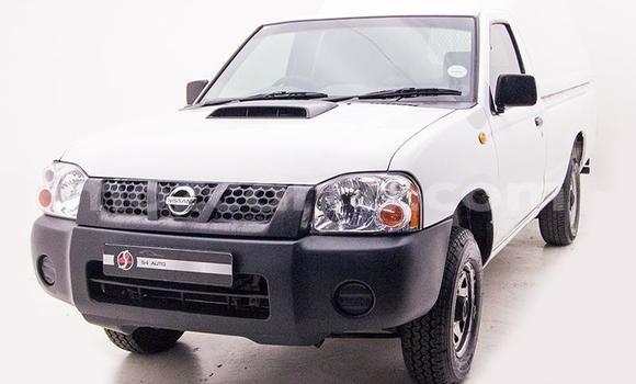 Comprar Usado Nissan Hardbody Branco Carro em Caia em Sofala