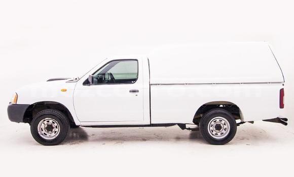 Comprar Usado Nissan Hardbody Branco Carro em Caia em Sofala Comprar Usado Nissan Hardbody Branco Carro em Caia em Sofala