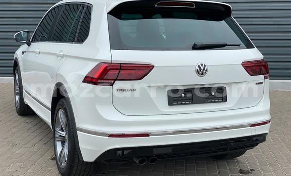 Tenga Tsaru Volkswagen Tiguan Chena Mota in Gilé in Zambezia Tenga Tsaru Volkswagen Tiguan Chena Mota in Gilé in Zambezia