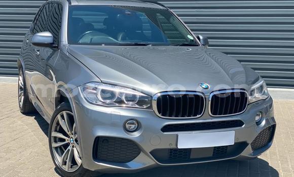 Comprar Usado BMW X5 Prata Carro em Gilé em Zambezia