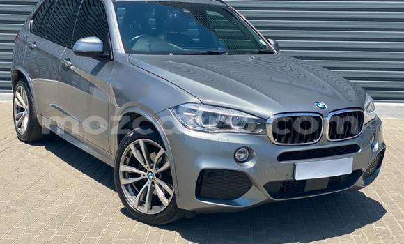 Tenga Tsaru BMW X5 Sirivha Mota in Gilé in Zambezia Tenga Tsaru BMW X5 Sirivha Mota in Gilé in Zambezia
