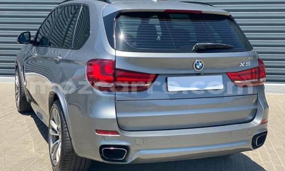 Tenga Tsaru BMW X5 Sirivha Mota in Gilé in Zambezia Tenga Tsaru BMW X5 Sirivha Mota in Gilé in Zambezia