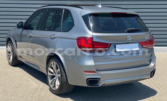 Tenga Tsaru BMW X5 Sirivha Mota in Gilé in Zambezia Tenga Tsaru BMW X5 Sirivha Mota in Gilé in Zambezia