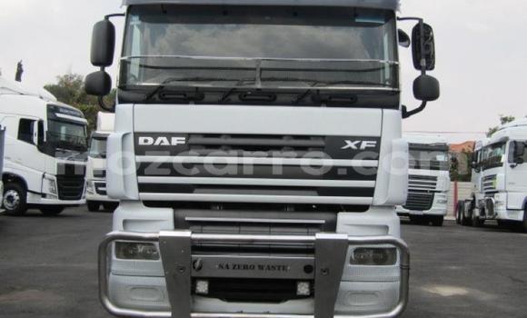 Comprar Usado DAF CF Branco Caminhão em Beira em Sofala Comprar Usado DAF CF Branco Caminhão em Beira em Sofala