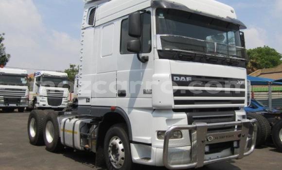 Comprar Usado DAF CF Branco Caminhão em Beira em Sofala Comprar Usado DAF CF Branco Caminhão em Beira em Sofala