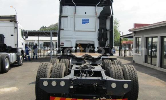 Comprar Usado DAF CF Branco Caminhão em Beira em Sofala Comprar Usado DAF CF Branco Caminhão em Beira em Sofala