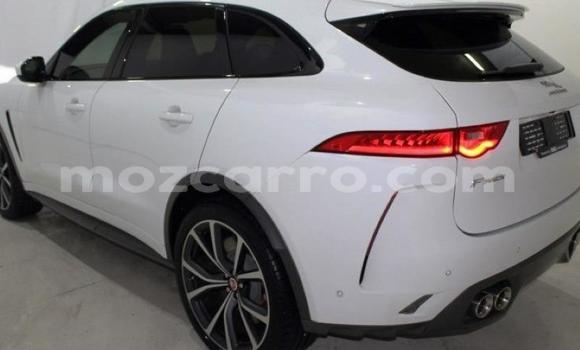 Comprar Usado Jaguar F-Pace Branco Carro em Maputo em Maputo Comprar Usado Jaguar F-Pace Branco Carro em Maputo em Maputo