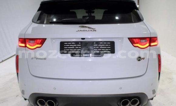 Comprar Usado Jaguar F-Pace Branco Carro em Maputo em Maputo Comprar Usado Jaguar F-Pace Branco Carro em Maputo em Maputo