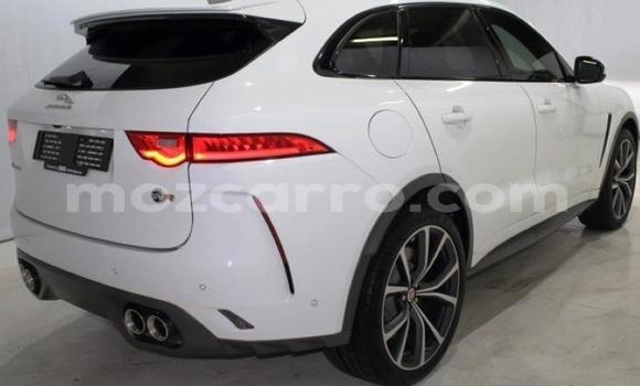 Comprar Usado Jaguar F-Pace Branco Carro em Maputo em Maputo Comprar Usado Jaguar F-Pace Branco Carro em Maputo em Maputo