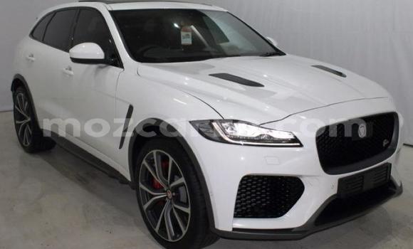 Comprar Usado Jaguar F-Pace Branco Carro em Maputo em Maputo Comprar Usado Jaguar F-Pace Branco Carro em Maputo em Maputo