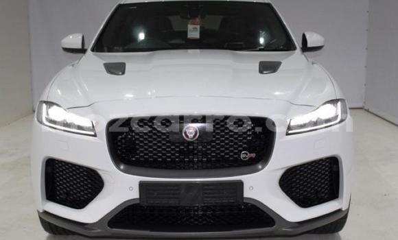 Comprar Usado Jaguar F-Pace Branco Carro em Maputo em Maputo Comprar Usado Jaguar F-Pace Branco Carro em Maputo em Maputo
