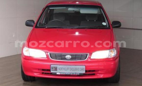 Comprar Usado Toyota Corolla Vermelho Carro em Maputo em Maputo Comprar Usado Toyota Corolla Vermelho Carro em Maputo em Maputo