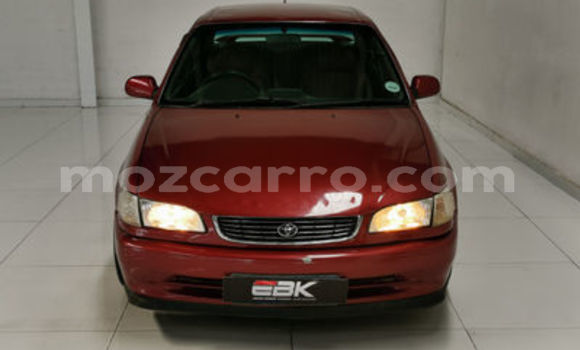 Tenga Tsaru Toyota Corolla Tsvuku Mota in Maputo in Maputo Tenga Tsaru Toyota Corolla Tsvuku Mota in Maputo in Maputo