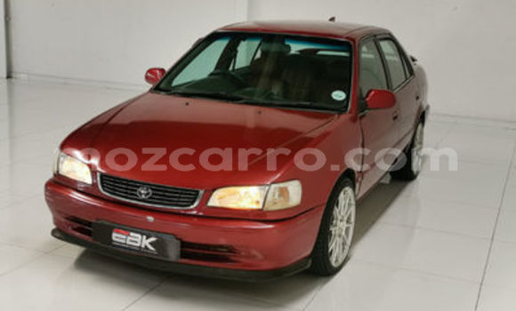 Tenga Tsaru Toyota Corolla Tsvuku Mota in Maputo in Maputo Tenga Tsaru Toyota Corolla Tsvuku Mota in Maputo in Maputo