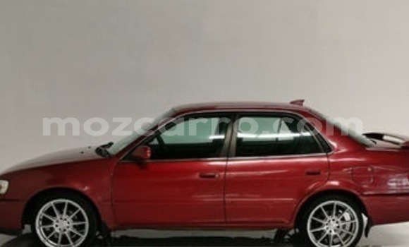 Tenga Tsaru Toyota Corolla Tsvuku Mota in Maputo in Maputo Tenga Tsaru Toyota Corolla Tsvuku Mota in Maputo in Maputo