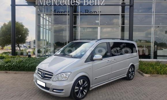 Tenga Tsaru Mercedes‒Benz Viano Sirivha Mota in Maputo in Maputo Tenga Tsaru Mercedes‒Benz Viano Sirivha Mota in Maputo in Maputo