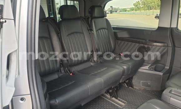 Tenga Tsaru Mercedes‒Benz Viano Sirivha Mota in Maputo in Maputo Tenga Tsaru Mercedes‒Benz Viano Sirivha Mota in Maputo in Maputo