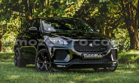 Tenga Tsaru Jaguar E-Pace Nhema Mota in Maputo in Maputo Tenga Tsaru Jaguar E-Pace Nhema Mota in Maputo in Maputo