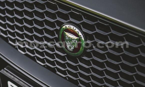 Tenga Tsaru Jaguar E-Pace Nhema Mota in Maputo in Maputo Tenga Tsaru Jaguar E-Pace Nhema Mota in Maputo in Maputo