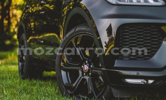 Tenga Tsaru Jaguar E-Pace Nhema Mota in Maputo in Maputo Tenga Tsaru Jaguar E-Pace Nhema Mota in Maputo in Maputo