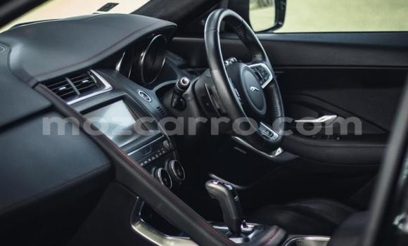 Tenga Tsaru Jaguar E-Pace Nhema Mota in Maputo in Maputo Tenga Tsaru Jaguar E-Pace Nhema Mota in Maputo in Maputo